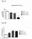 Fig. 02 - Systems and methods for treating an opioid-induced adverse pharmacodynamic response