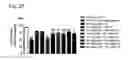 Fig. 28 - Systems and methods for treating an opioid-induced adverse pharmacodynamic response