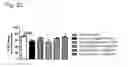 Fig. 29 - Systems and methods for treating an opioid-induced adverse pharmacodynamic response
