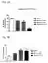 Fig. 02 - Systems and methods for treating an opioid-induced adverse pharmacodynamic response