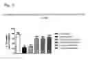 Fig. 17 - Systems and methods for treating an opioid-induced adverse pharmacodynamic response