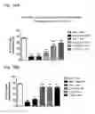 Fig. 20 - Systems and methods for treating an opioid-induced adverse pharmacodynamic response