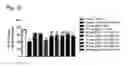 Fig. 28 - Systems and methods for treating an opioid-induced adverse pharmacodynamic response