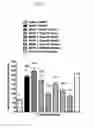 Fig. 07 - Heterocyclic compounds and methods of use thereof