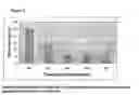 Fig. 03 - PHARMACEUTICAL COMPOSITIONS FOR THE TREATMENT OF INNER EAR DISORDERS