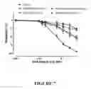 Fig. 08 - Process and composition for stabilization of vulnerable plaque utilizing a combination of a statin and omega 3 fatty acids