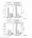 Fig. 04 - PROCESS FOR PRODUCING AN INJECTABLE MEDICAMENT PREPARATION