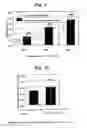 Fig. 07 - AGENT FOR APPLYING TO MUCOSA AND METHOD FOR THE PRODUCTION THEREOF