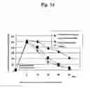 Fig. 17 - AGENT FOR APPLYING TO MUCOSA AND METHOD FOR THE PRODUCTION THEREOF