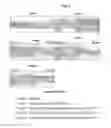 Fig. 04 - Compositions for external application, containing adenosylcobalamin for improvement of skin diseases