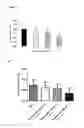 Fig. 05 - Compounds and their effects on appetite control and insulin sensitivity