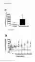 Fig. 13 - Compounds and their effects on appetite control and insulin sensitivity