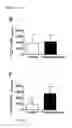 Fig. 14 - Compounds and their effects on appetite control and insulin sensitivity