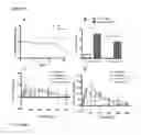 Fig. 19 - Compounds and their effects on appetite control and insulin sensitivity
