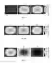 Fig. 45 - OXYGEN-CONTROLLABLE AND HYPOXIA-INDUCIBLE HYDROGELS