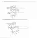 Fig. 03 - Ultrasound-assisted continuous extraction for complete fragmentation of cocoa beans into fractions