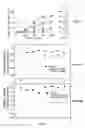 Fig. 16 - Peptide analogs for treating diseases and disorders