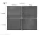 Fig. 06 - Methods for diagnosing, prognosing and treating muscular dystrophy