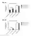 Fig. 07 - Methods for diagnosing, prognosing and treating muscular dystrophy