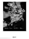 Fig. 06 - System and method for multiphasic release of growth factors