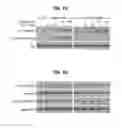 Fig. 09 - MATERIALS AND METHODS FOR MODULATING GLUCOSE UPTAKE