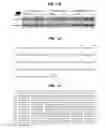 Fig. 13 - MATERIALS AND METHODS FOR MODULATING GLUCOSE UPTAKE