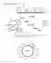 Fig. 02 - VACCINE COMPOSITIONS