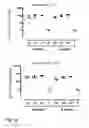 Fig. 02 - VACCINE AGAINST RSV