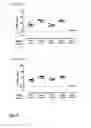 Fig. 11 - VACCINE AGAINST RSV