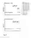 Fig. 12 - VACCINE AGAINST RSV