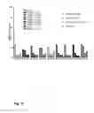 Fig. 17 - VACCINE AGAINST RSV