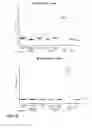 Fig. 19 - VACCINE AGAINST RSV