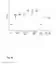 Fig. 29 - VACCINE AGAINST RSV
