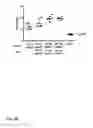 Fig. 32 - VACCINE AGAINST RSV