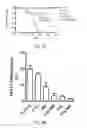 Fig. 12 - SYSTEM AND METHOD FOR USING ULTRASOUND-STIMULATED MICROBUBBLE EXPOSURES TO INDUCE CERAMIDE ACCUMULATION IN ENDOTHELIAL AND TUMOR CELLS