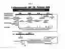 Fig. 09 - Dosages of Immunoconjugates of Antibodies and SN-38 for Improved Efficacy and Decreased Toxicity