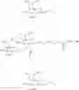 Fig. 15 - Carbohydrate conjugated RNA agents and process for their preparation