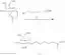 Fig. 52 - Carbohydrate conjugated RNA agents and process for their preparation