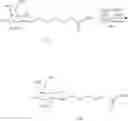 Fig. 53 - Carbohydrate conjugated RNA agents and process for their preparation