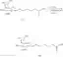 Fig. 55 - Carbohydrate conjugated RNA agents and process for their preparation