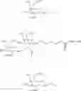 Fig. 71 - Carbohydrate conjugated RNA agents and process for their preparation