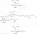 Fig. 91 - Carbohydrate conjugated RNA agents and process for their preparation