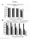 Fig. 03 - Dendritic polypeptide-based nanocarriers for the delivery of therapeutic agents
