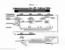 Fig. 09 - Dosages of immunoconjugates of antibodies and SN-38 for improved efficacy and decreased toxicity