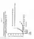 Fig. 04 - Dosages of Immunoconjugates of Antibodies and SN-38 for Improved Efficacy and Decreased Toxicity