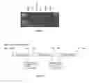 Fig. 06 - COMPOSITIONS AND METHODS FOR DUCHENNE MUSCULAR DYSTROPHY GENE THERAPY