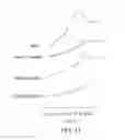 Fig. 13 - COMPOSITIONS AND METHODS FOR TREATING DISEASES
