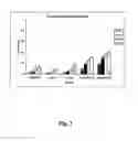 Fig. 03 - Anticancer therapy