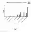 Fig. 07 - Anticancer therapy