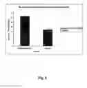 Fig. 08 - Anticancer therapy